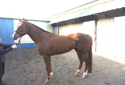 ������� ����