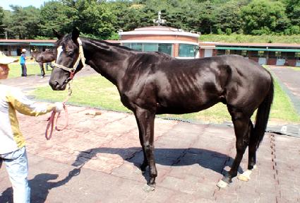 ����Ʈ�غ��̺� ����