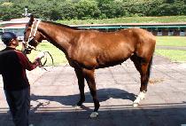 ������� (SUSEONGDAESA) ����