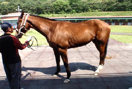 ������� ����