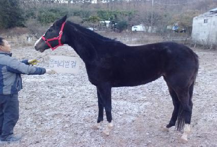 ���丮��� ����