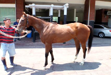 �ɿ��� ����