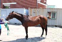 ���ӥ� (FAME II) ����