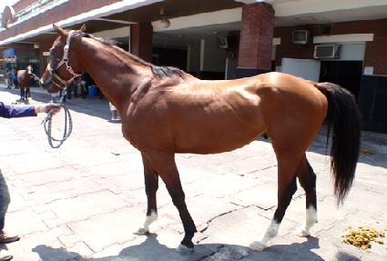 �ʵ� ����