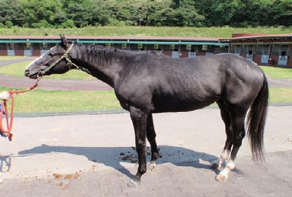 �Ǻ��� ����