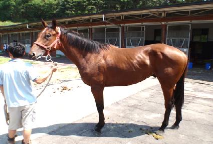 ��ȣĹ ����