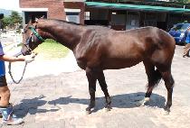 ������ (LOPIN JOE) ����