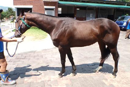 ������ ����