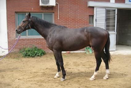 ���߸�ǰ ����