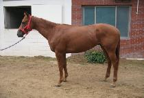 �ΰ���� (BUGYEONGMYEONGJANG) ����