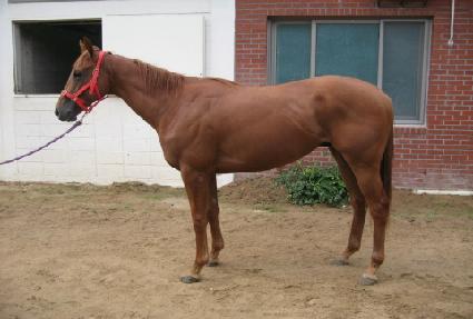 �ΰ���� ����