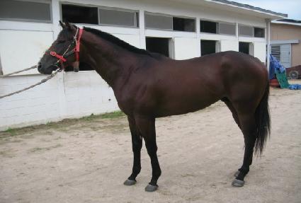 ����Ͻ������� ����