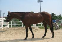 �׳�� (JUKNOKWON) ����