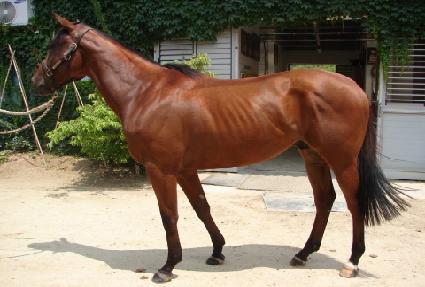 ��ȣ�� ����