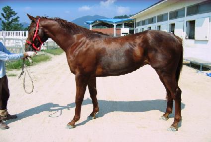 �����س�� ����