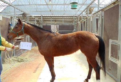 ������� ����