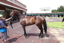 ����Ž�� (DONGBANGTAMHEOM) ����