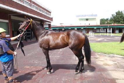 ����Ž�� ����