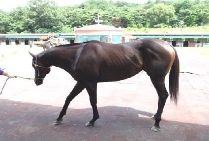 Ž���� ����