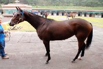 ����Ʈ������ (SWEET FRIENDS) ����