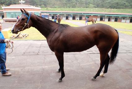 ����Ʈ������ ����