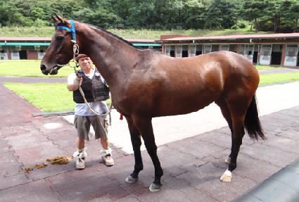 ���ʹ��� ����