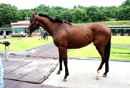 ��ĳó������ ����