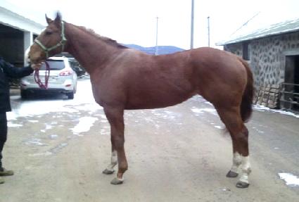 �����Ƽ ����