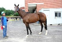 ������ (JISANGJEON) ����