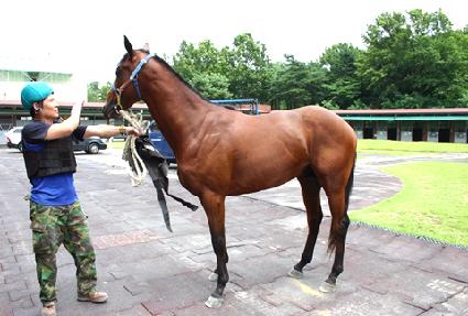 ������� ����