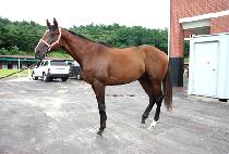 �׶���� (GROUND WAR) ����