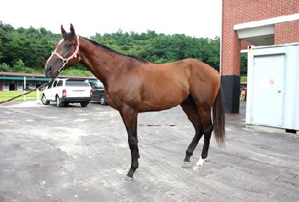 �׶���� ����