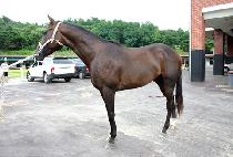 ����ĭ (SAND KAHN) ����