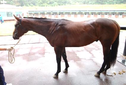 �¾����� ����