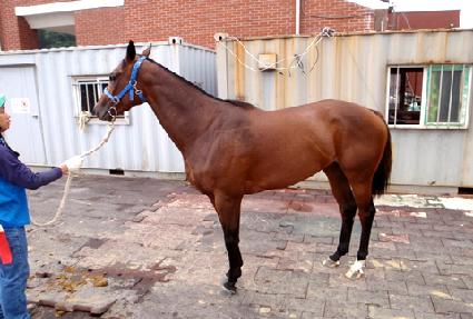 �������� ����