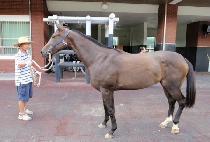 �ұ������� (BULGURUIUIJI) ����