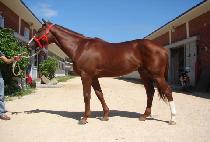 ��Ĺ�ƿ�����ڽ� (ACATOUTOFTHEBOX) ����