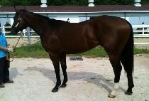 �Ҹ��Ǻ� (BULMYEORUI BIT) ����