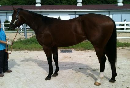 �Ҹ��Ǻ� ����