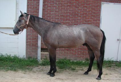 Ȧ��ü�� ����