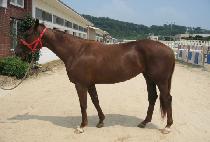 ���ǽ�õ (YONGUI SEUNGCHEON) ����