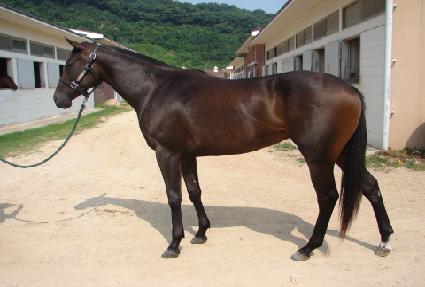 �ʷ���� ����