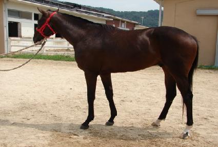 ��ٿ��̽� ����