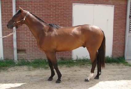 �������� ����