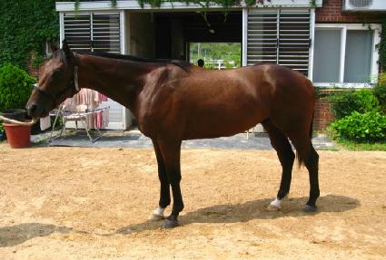 �����︮�� ����