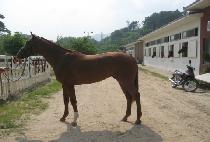 �ܹ��� (DANBAKI) ����