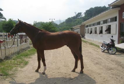 �ܹ��� ����