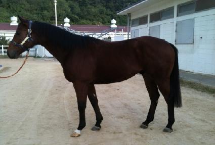 �ϼ��� ����