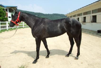 �ƽζ��� ����