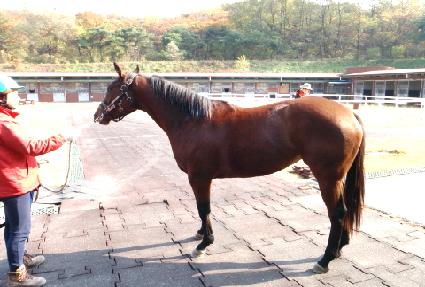 �ö����ũ ����